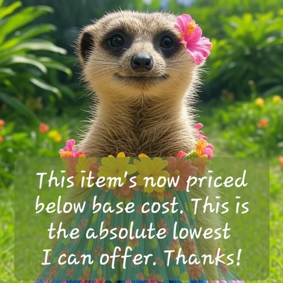 🌺✨️[NWT] Hello Kitty Hawaii Hula Dance • Key chain• Bag charm• Plush - Picture 7 of 7